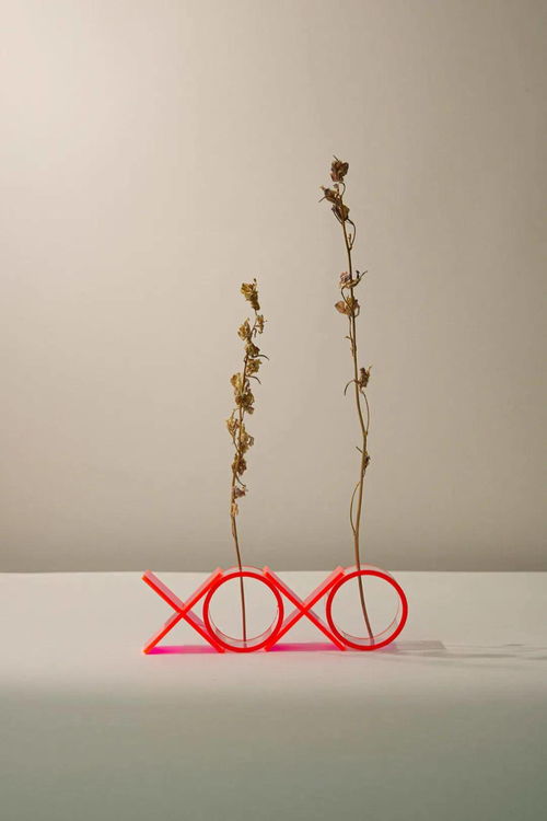 当灵感遇见包装 创意文创产品的趣味与新知